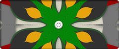 Symmetry features