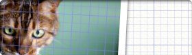 Canvas Grids