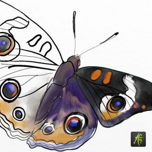 artrage android butterfly