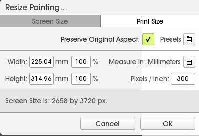 Edit Resize Painting menu in ArtRage 5 with Preserve Original Aspect ticked