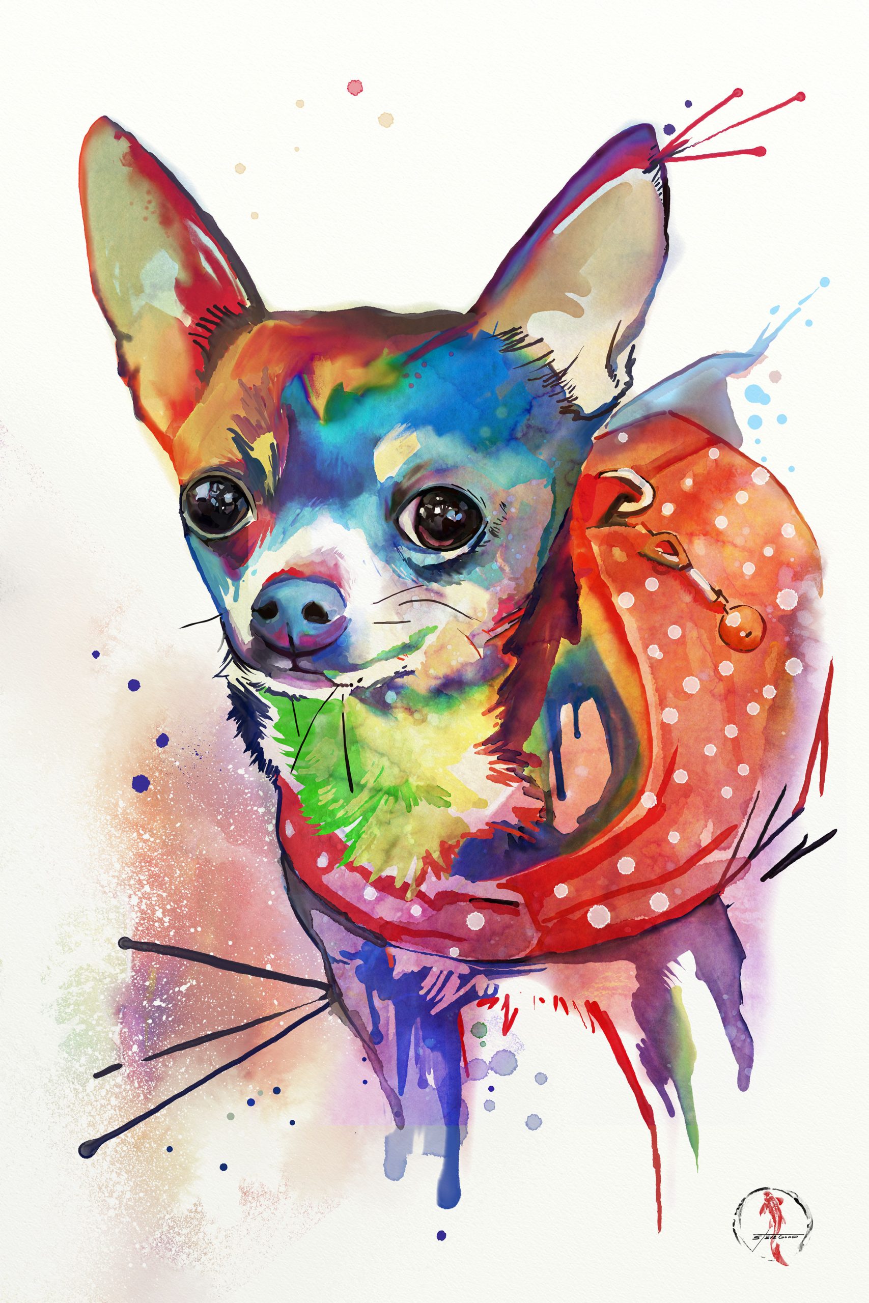 Image of a chihuahaha