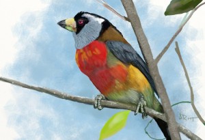 7 Color Bird by Albert Root (Screenpainter GZAirborne)