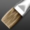 ArtRage for iPad Oil Brush