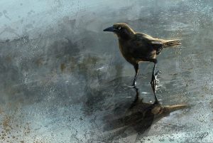 Bird In A Puddle by Steve Goad