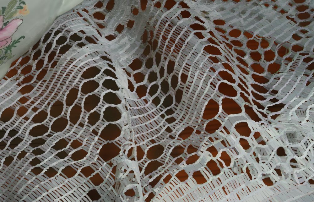 Camilla's Sugar Bowl 3 lace closeup by Vic Shelley
