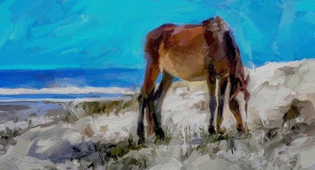 Cumberland Pony 72 ArtRage iPad artist Dean Scott Waters