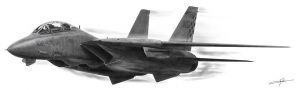 High Speed Pass ofHigh Speed Pass of the F-14 Tomcat. Dale Jackson Strato Art ArtRage Artist the F-14 Tomcat. "The F-14 Tomcat is a supersonic, twinjet, two-seat, variable-sweep wing fighter aircraft. The F-14 was the first of the American teen-series fighters which were designed incorporating the experience of air combat against MiG fighters during the Vietnam War. The F-14 first flew in December 1970 and made its first deployment in 1974 with the U.S. Navy aboard USS Enterprise (CVN-65), replacing the McDonnell Douglas F-4 Phantom II. The F-14 served as the U.S. Navy's primary maritime air superiority fighter, fleet defense interceptor and tactical reconnaissance platform. In the 1990s, it added the Low Altitude Navigation and Targeting Infrared for Night (LANTIRN) pod system and began performing precision ground-attack missions. The Tomcat was retired from the U.S. Navy's active fleet on 22 September 2006, having been supplanted by the Boeing F/A-18E/F Super Hornet" (wiki) Inspired by the public domain U.S. Navy photo by Photographer's Mate 3rd Class Jayme Pastoric.