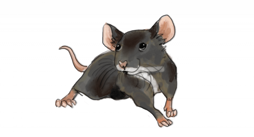 Felt Pen Mouse