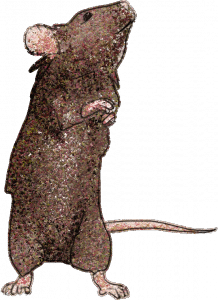 Glitter Mouse