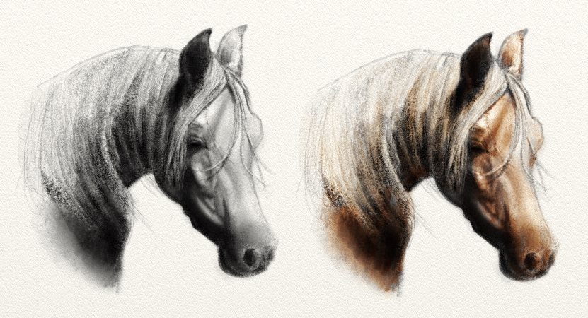 Horse Pencil Sketch Multiply Blend Mode