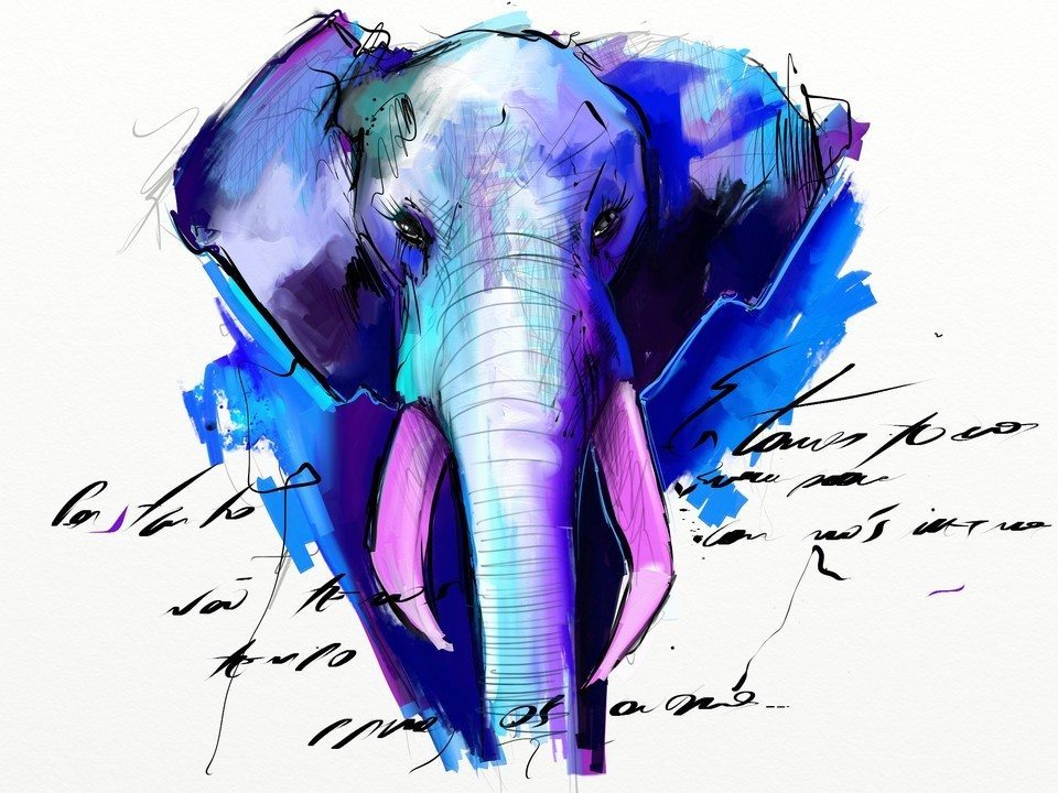 Elephant by Fernando Madeira