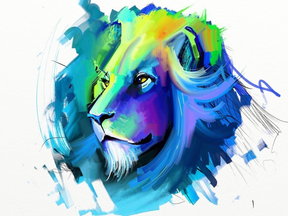 Lion by Fernando Madeira