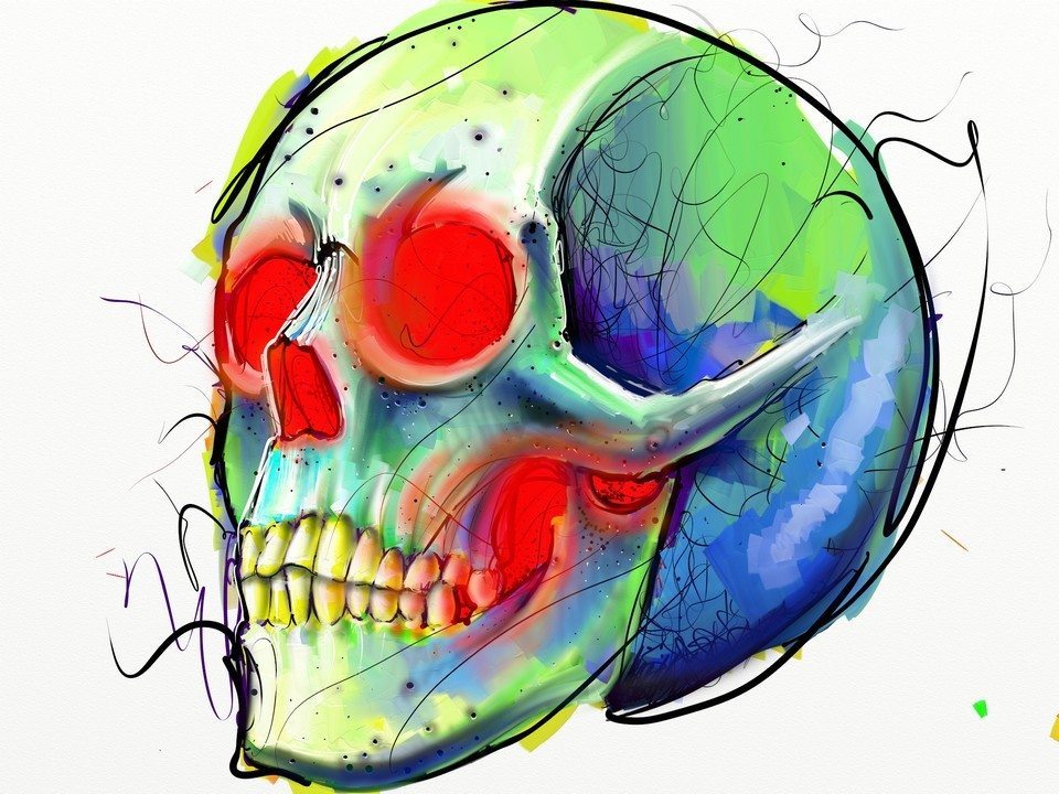 Skull by Fernando Madeira