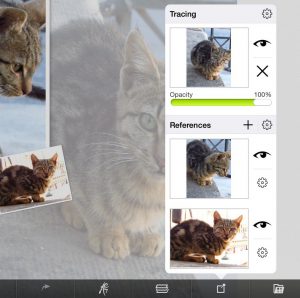 Cat drawing tracing reference