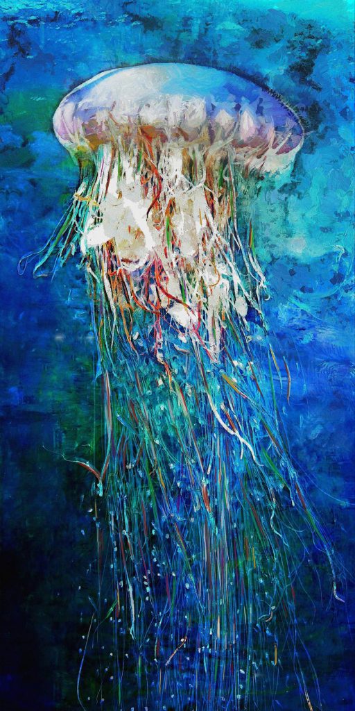 Jellyfish 10x20 Brian Coffey Featured ArtRage Artist