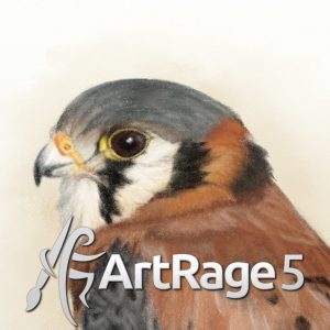 Kestrel pencil square ArtRage 5 1