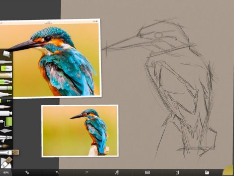 Kingfisher Screenshot 1 by Shelly Hanna