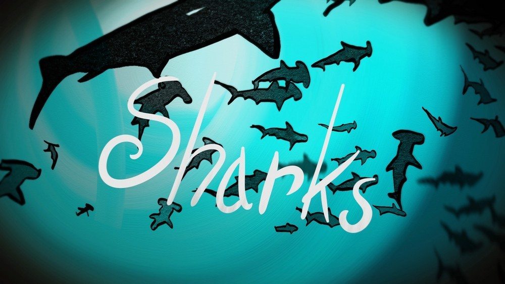 "Sharks"  Still image from 'Painted Titles  for a Song"