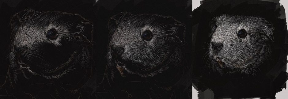 Scratchboard Guinea Pig by Shelly Hanna