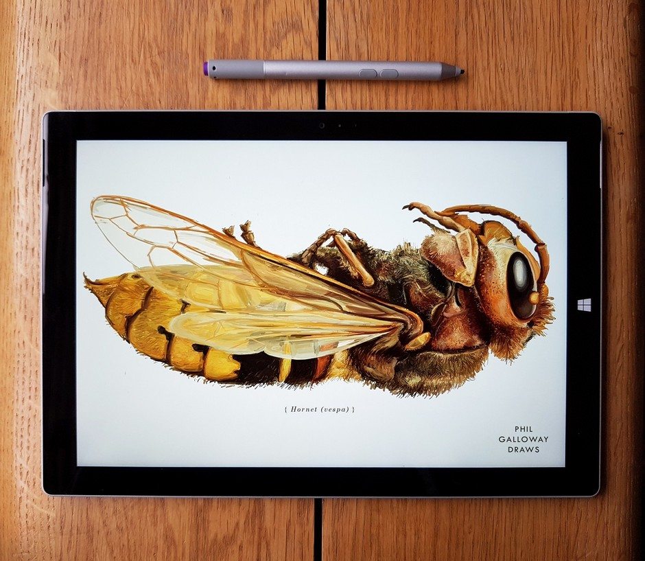 Anatomy of a Win, Hornet ArtRage artist Phil Galloway