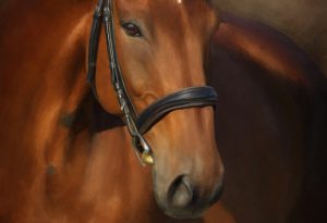 Zorro artrage art by Stephen Rasche-Hilpert