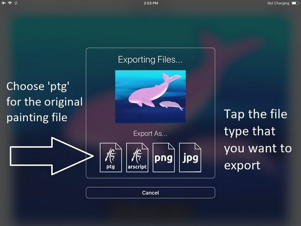 artrage ios export file type