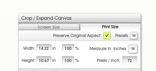 The Crop/Expand Canvas menu in ArtRage (Print Size tab)