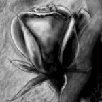 charcoal chalk rose artrage 5