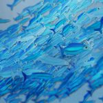 custom brush sticker spray fish school artrage 5