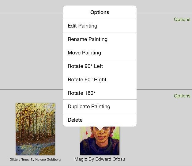 ArtRage for iPad gallery options