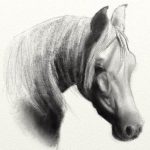horse pencil sketch artrage 5