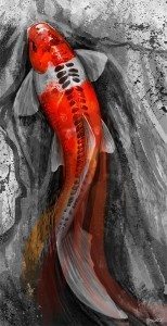 Koi Painting by Steve Goad