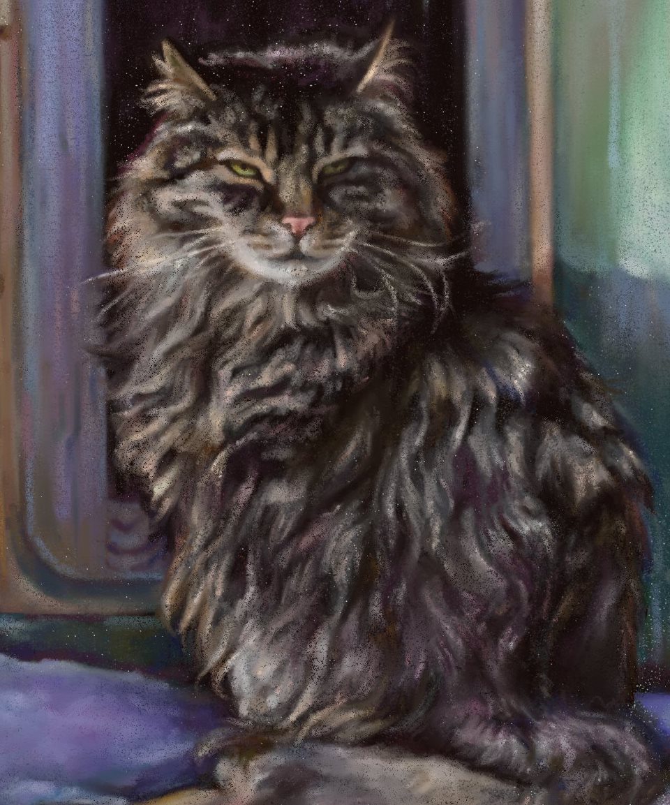 Pastel cat close up by Ramona MacDonald in ArtRage 5