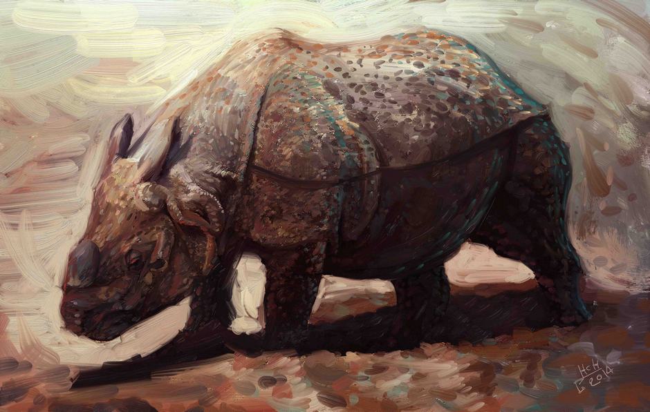 Rhino by Hassan Chenary